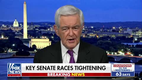 Gingrich warns Pennsylvanians of Fetterman's 'dangerous' politics amid Philly crime wave