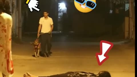 HUMAN VS ANIMAL 👊👻 Funny Video