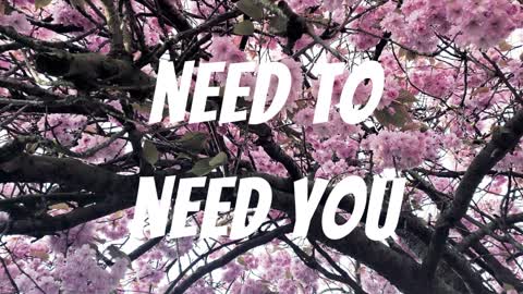 Need to Need You