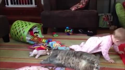 Funny Cats with Babies Playing Together ★ Animals Trolling Babies