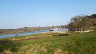 River at the new Forest.