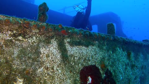 Scuba diver swimming and exploring around the sunken ship on the ocean floor