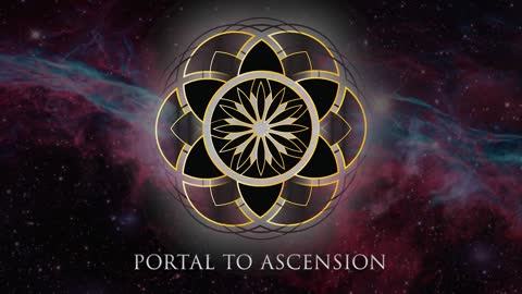 David Sereda: Frequency & EMF Protection | Portal to Ascension 2020