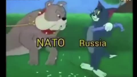 Tom & Jerry (Russia vs Ukraina) FUNNY TRUTH