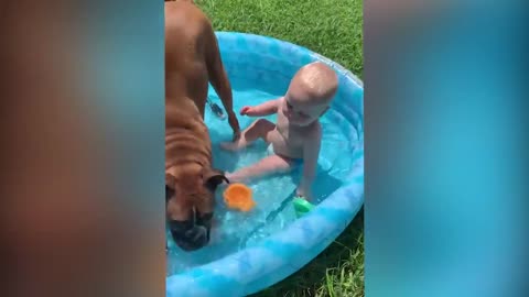 Cutest Babies Play With Dogs And Cats Compilation