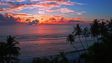 Beautiful beach at sunset