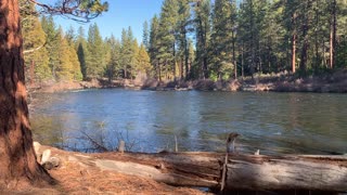 Tranquil Gorgeous Sunny Metolius River – Central Oregon