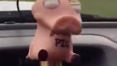 Turbo boost pig