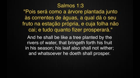 Salmos 1 (Benjamite Thunder Harp Mix) Canção das Escrituras Português do Brasil #ahayah #brasileiro