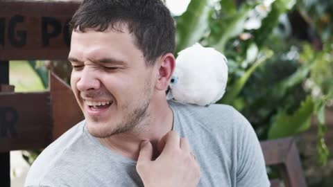 Happy man holds a white macaw parrot which bites him. Emotion concept