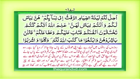 Holy Quran-Para 2 - Juz 2 Sayaqul HD Quran Urdu Hindi Translation