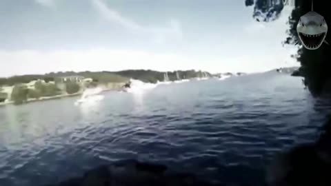 Man comes face to face with great white shark after jumping off rock