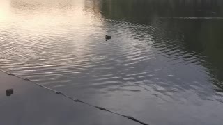 Late evening, lakeside walk