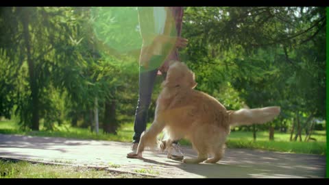 Boy Playing With His Dog