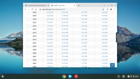 Eye-Opening Government Data on COVID Vaccine