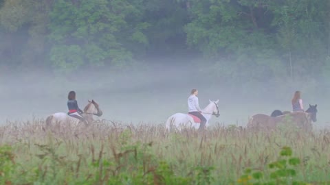 Female riders ride horses in the early foggy morning of August