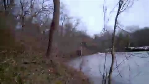 Killer Swan Terrorizes Father And Son