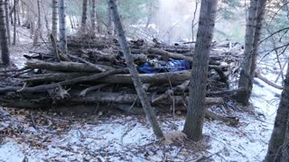 Sasquatch Shelter Structure with Recent Additions