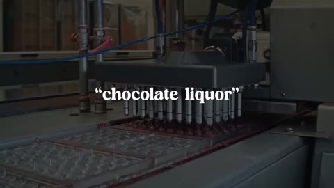 How Chocolate is Made