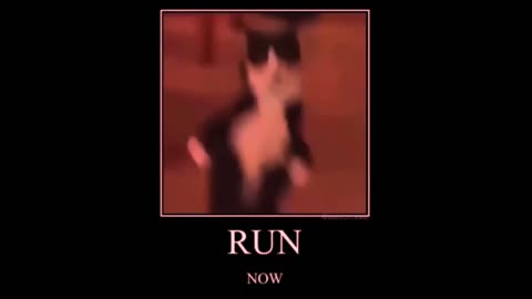 Commet I love you (run meme)