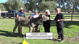 Season 5, Episode 9: Featuring Robert Barnes, The Farrier