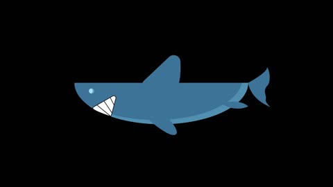 animal animation mammals shark mg simple flat style