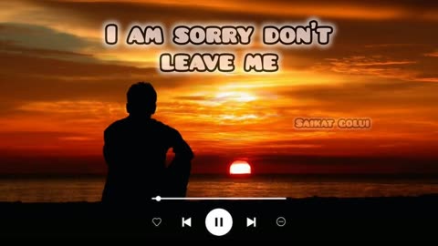 I am sorry don't leave me