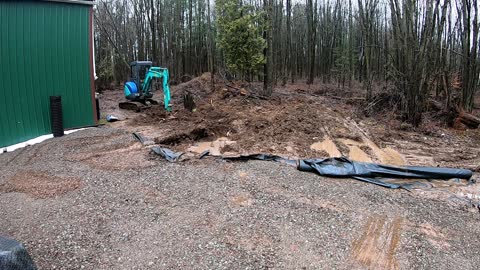 Barn Work Day 2 - Stumps