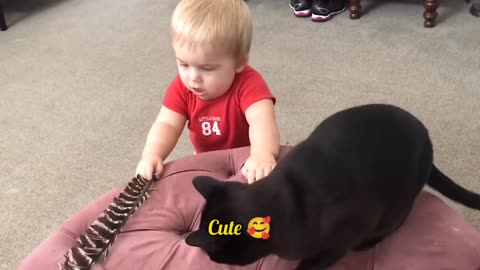 Cute Baby fun with cute pets..rumble..