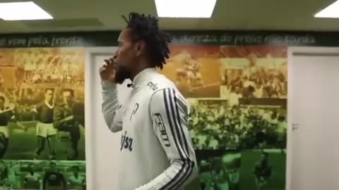 ZÉ ROBERTO - O PALMEIRAS É GRANDE.