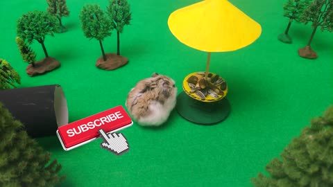 🐹🦂Scorpion maze with Traps hamster Police Pets 🐹 in Hamster stories