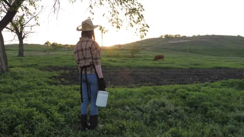 Fresh milk concept. Woman pours milk into can at sunset