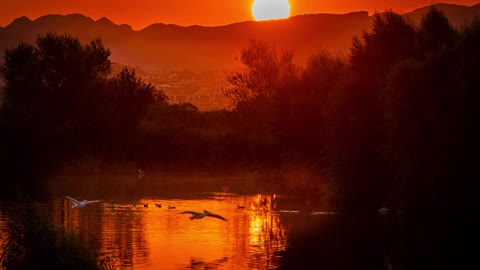 HENDERSON BIRD PRESERVE SUNRISE