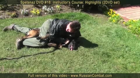 How to defend against a dog. Self defense against dog attack