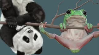 Pandamonium with Frog