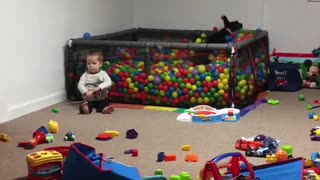 Doggo Dives Into Ball Pit