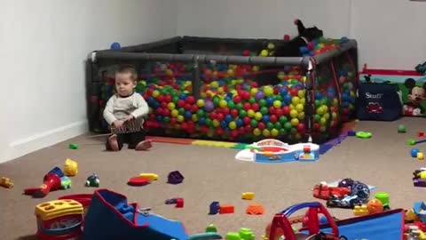 Doggo Dives Into Ball Pit