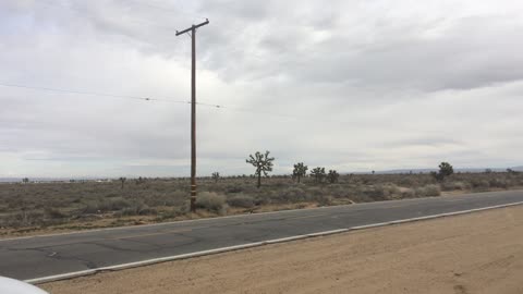 The day UFOs Landed in the Front Yard