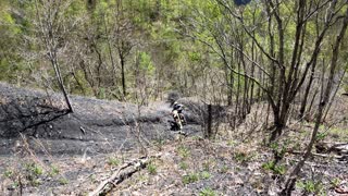 Very steep hill climb in Bearswallow trail area at Hatfield McCoy trail system