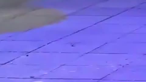 spider dancing on the floor in club.