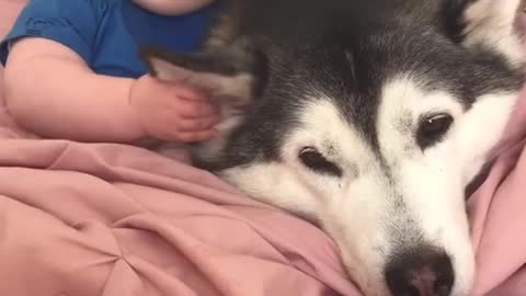 Baby and puppy are instant besties and it's absolutely adorable