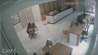 Pup Pulls Person Around Office