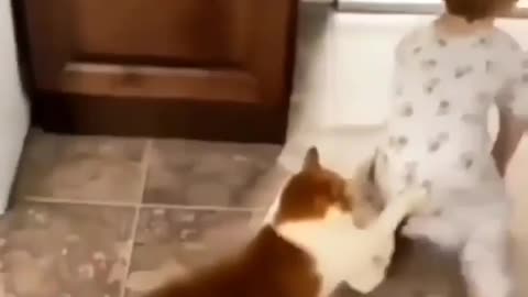 Baby and kitten have fun together