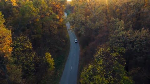 Enchanting Autumn Forests with Beautiful Piano Music