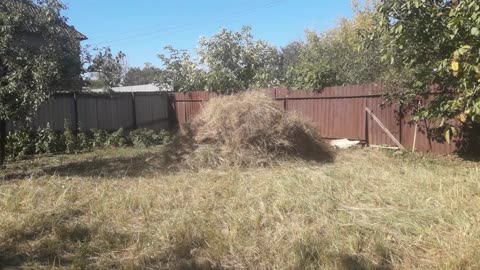 A stack of hay