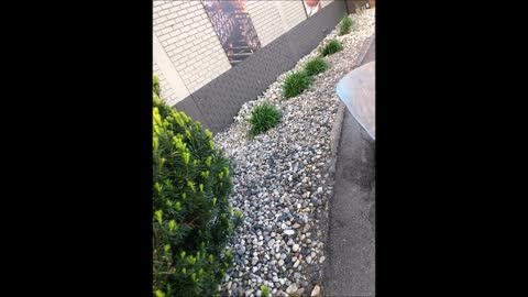 Carreto's Landscaping - (402) 207-6766