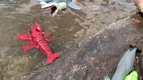 Sea Animal Toys This Summer at the Shore