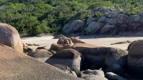 10/28 - Experiência imersiva pelas Praias de Governador Celso Ramos até a Praia das Conchas