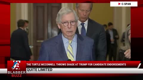 The Turtle McConnell Throws Shade At Trump For Candidate Endorsements