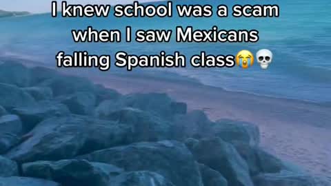 I knew school was a scam when I saw Mexicans falling Spanish class